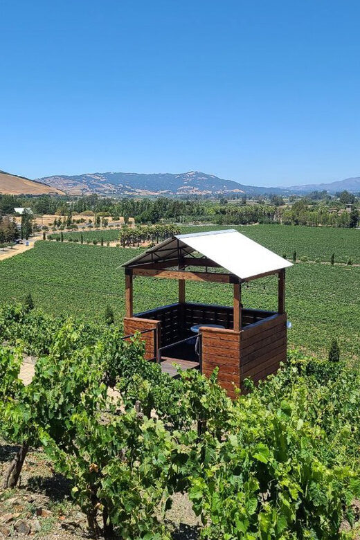 San Francisco: Half-Day Wine Tour with 2 Tastings Included - Key Points