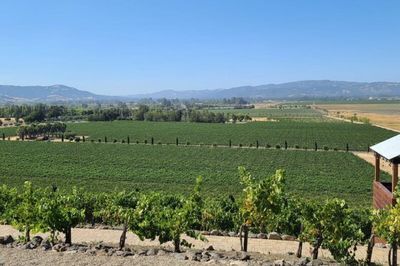 San Francisco: Half-Day Wine Tour with 2 Tastings Included - The Itinerary: From Iconic Landmarks to Rolling Hills