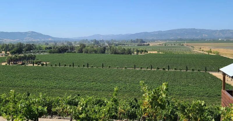 San Francisco: Half-Day Wine Tour with 2 Tastings Included - Lunch and Additional Options