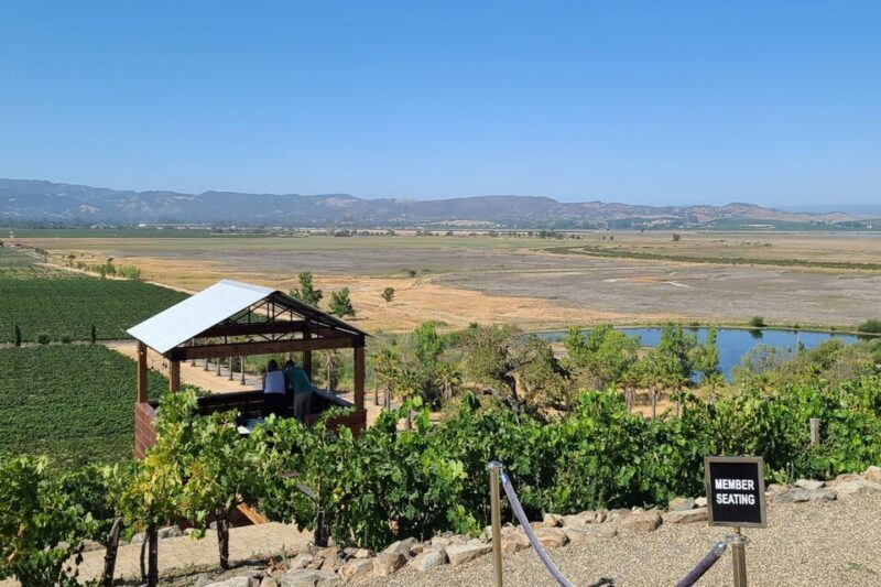 San Francisco: Half-Day Wine Tour with 2 Tastings Included - The Sum Up