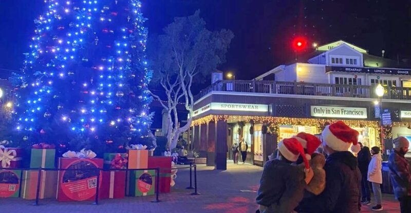 San Francisco: Holiday Lights Private Group Jeep Tour - A Detailed Look at the Experience