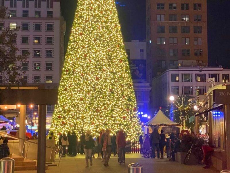 San Francisco: Holiday Lights Private Group Jeep Tour - Final Thoughts