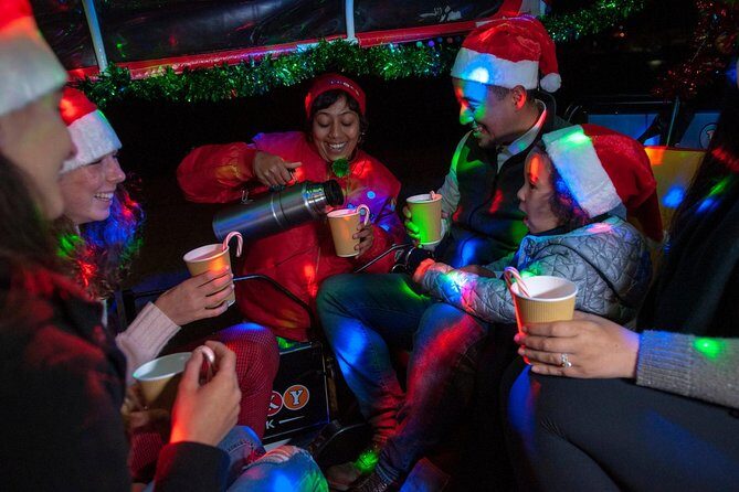San Francisco Holiday Season Private Tour - Lucky Tuk Tuk - A Festive Spin Through San Francisco’s Holiday Lights: Lucky Tuk Tuk Review