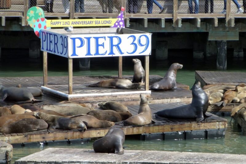 San Francisco: Hop-On Hop-Off Tour with Optional Night Tour - An In-Depth Look at the Tour Experience