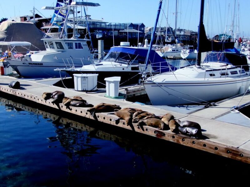 San Francisco: Monterey and Carmel Day Tour - Summary