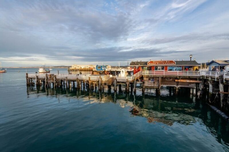 San Francisco: Monterey and Carmel Tour - A Deep Dive into the Tour Experience