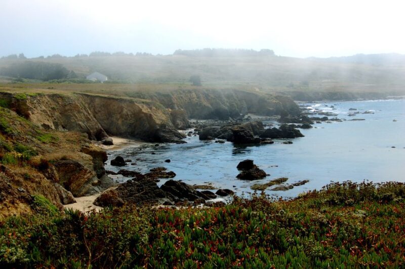 San Francisco: Monterey and Carmel Tour - Who Will Love This Tour?