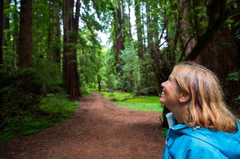 San Francisco: Morning Muir Woods & Sausalito Tour w/ Ferry - The Sum Up