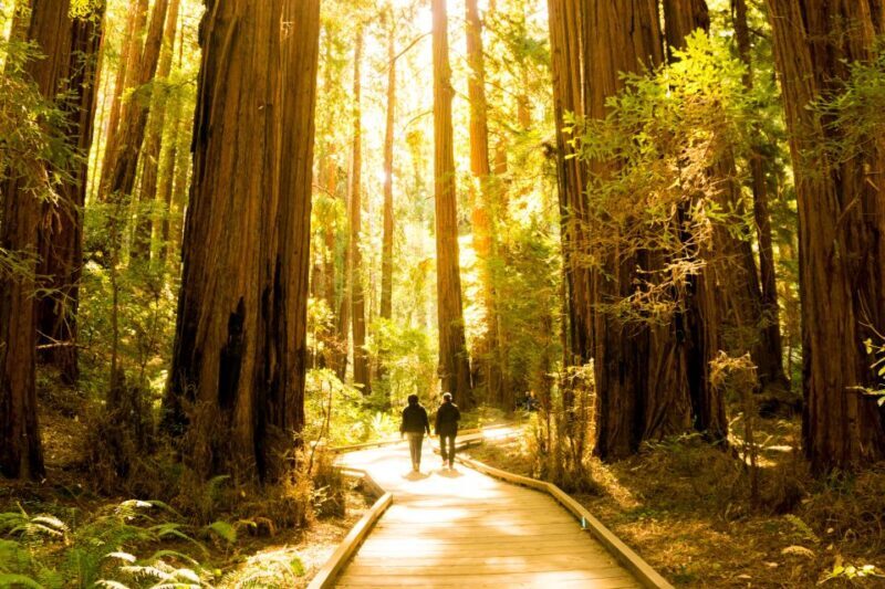San Francisco: Muir Woods and Sausalito Experience - Frequently Asked Questions