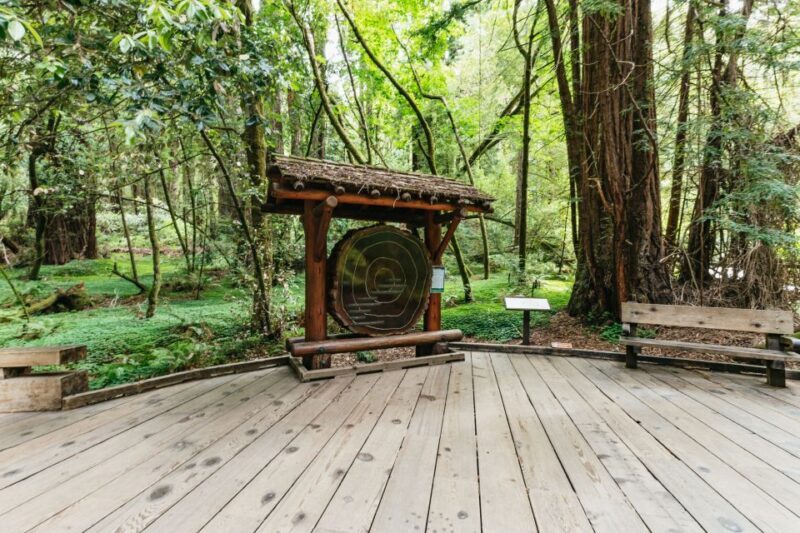 San Francisco: Muir Woods and Sausalito Small-Group Tour - Key Points