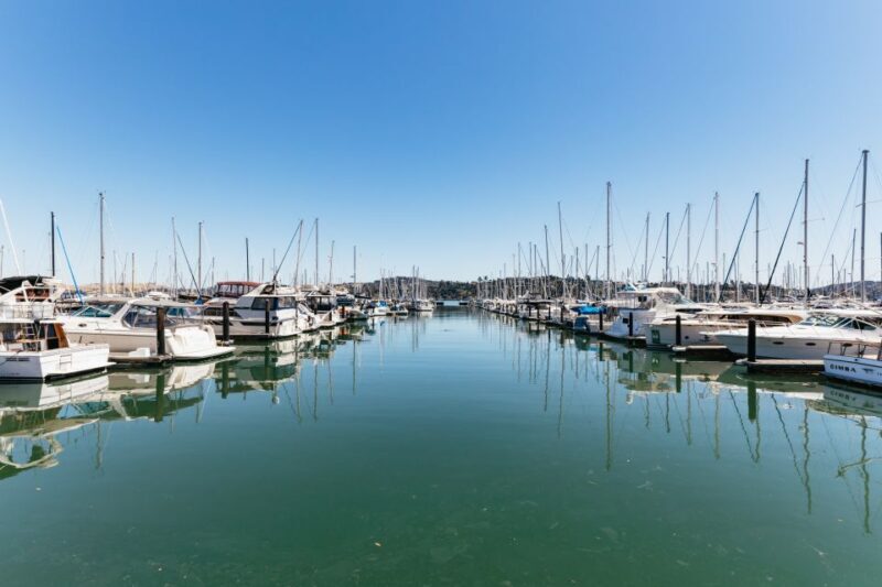 San Francisco: Muir Woods and Sausalito Small-Group Tour - Who is This Tour Best For?