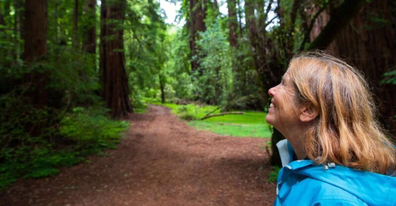 San Francisco: Muir Woods and Sausalito Tour with Admission - What Do Reviewers Say?