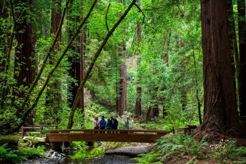 San Francisco: Muir Woods and Sausalito Tour with Admission - Final Thoughts: Is It Worth It?