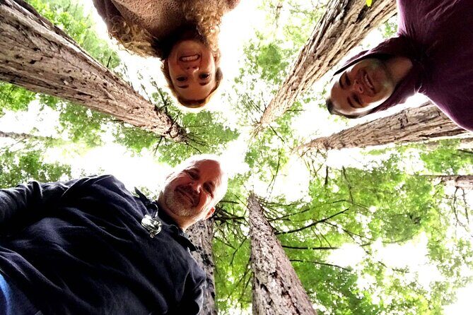 San Francisco & Muir Woods Full Day Small Group Private Tour - Key Points