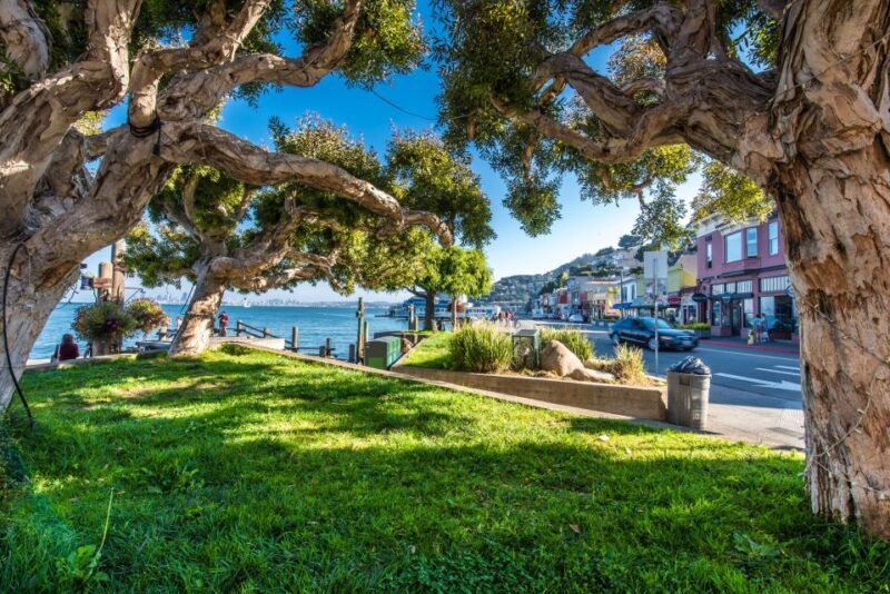 San Francisco: Muir Woods, San Francisco and Sausalito Tour - Exploring San Francisco in a Day: Muir Woods, Sausalito, and More