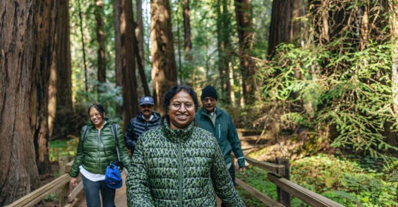 San Francisco: Muir Woods, Sausalito and SF Bay Cruise - A Deep Dive Into the Experience