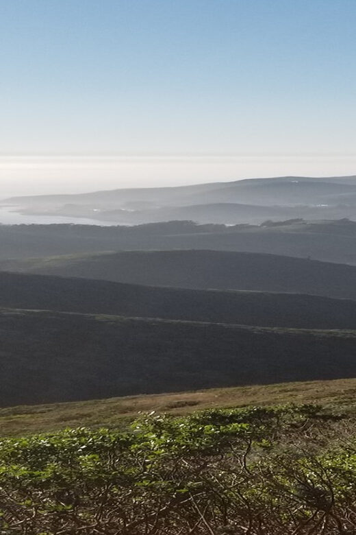 San Francisco: Muir Woods, Sausalito, and Sonoma Wine Tour - Final Thoughts: Is It Worth It?