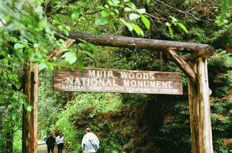 San Francisco: Muir Woods, Sausalito, & Battery Spencer Tour - Key Points