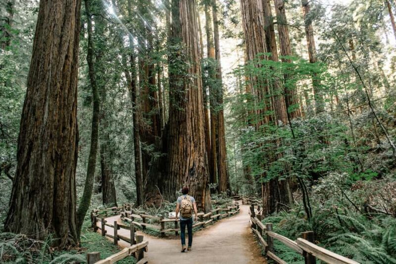 San Francisco: Muir Woods, Sausalito, & Battery Spencer Tour - Who Will Love This Tour?