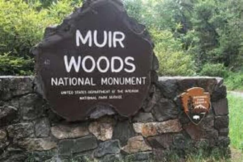 San Francisco: Muir Woods, Sausalito, & Battery Spencer Tour - The Sum Up