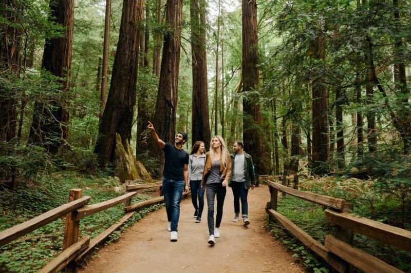 San Francisco: Muir Woods & Sausalito Tour w/Alcatraz - Key Points