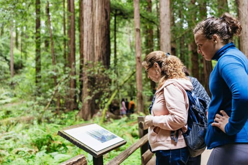 San Francisco: Muir Woods & Sausalito Tour with Ferry Option - Key Points