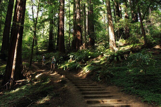 San Francisco Muir Woods Tour and Bike The Golden Gate Bridge - Who Will Love This Tour?