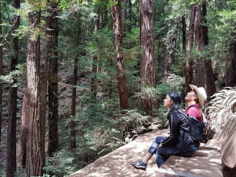 San Francisco: Muir Woods Tour & Golden Gate Bay Cruise - An In-Depth Look at the Tour