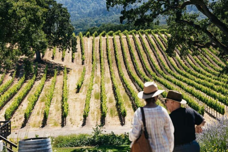 San Francisco: Napa and Sonoma Valley Wine Tour - Key Points