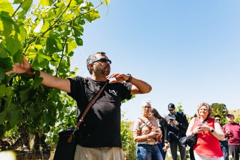 San Francisco: Napa and Sonoma Valley Wine Tour - FAQs
