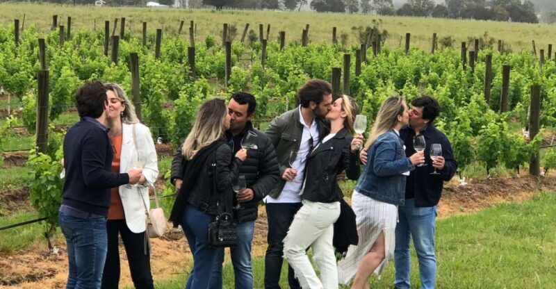 San Francisco: Napa Valley Half-Day Wine Tour with Tastings - Key Points