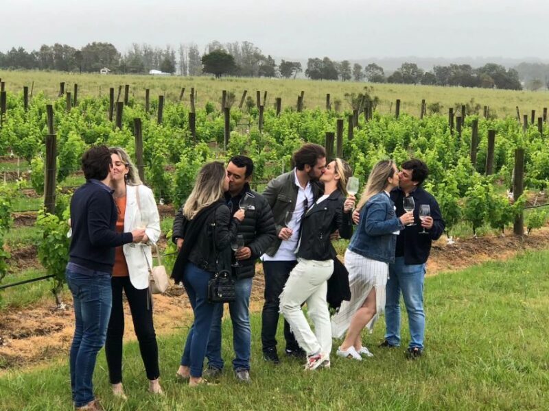 San Francisco: Napa Valley Half-Day Wine Tour with Tastings - Key Points