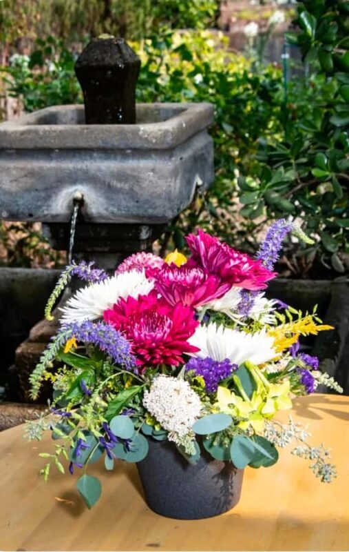 San Francisco Photo Tour with a Private Photographer - An Authentic Way to Remember San Francisco