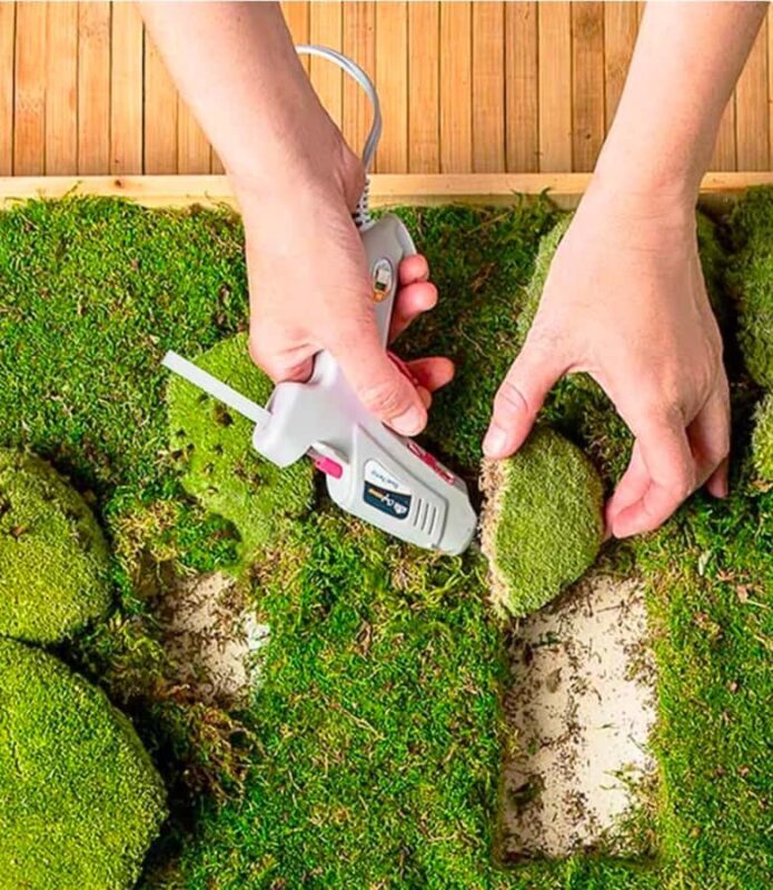 San Francisco Photo Tour with a Private Photographer - Key Points