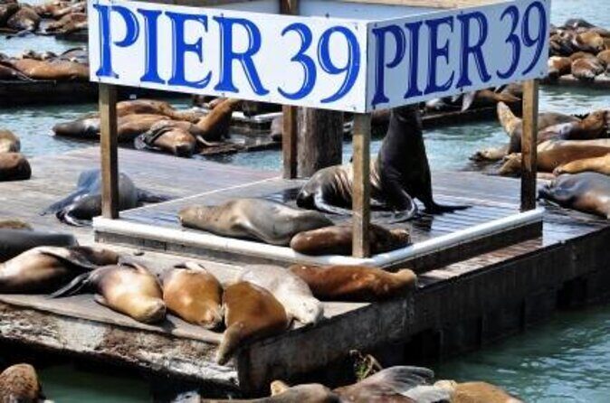San Francisco Pier 39 Puzzling Adventure - Key Points