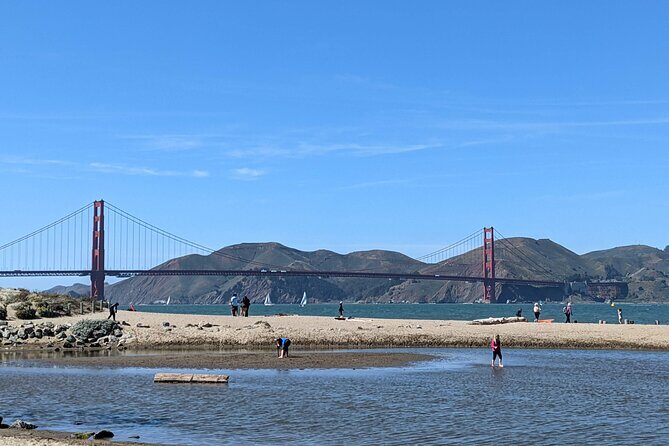 San Francisco Presidio Scavenger Hunt Walking Tour and Game - The Sum Up: Who Will Love This Tour?