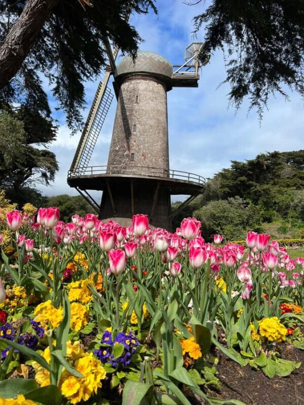 San Francisco Private City Tour from Silicon Valley - FAQ