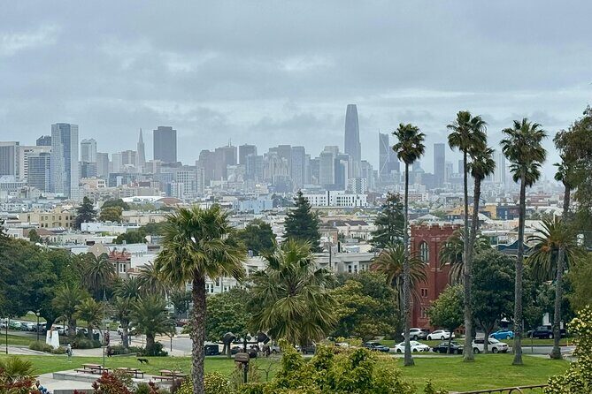 San Francisco Private City Tour in New EV Volkswagen Van - Key Points