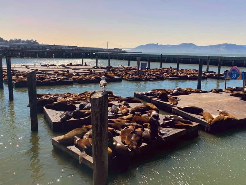 San Francisco Private Custom Tour - Duration and Price: How It Fits Your Schedule and Budget