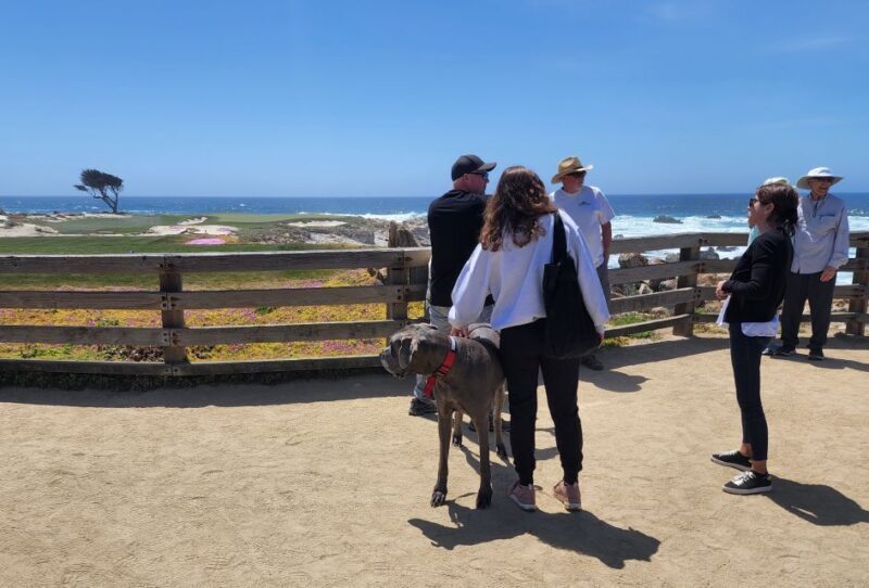 San Francisco: Private Monterey Aquarium 17 Mile Carmel - Returning to San Francisco