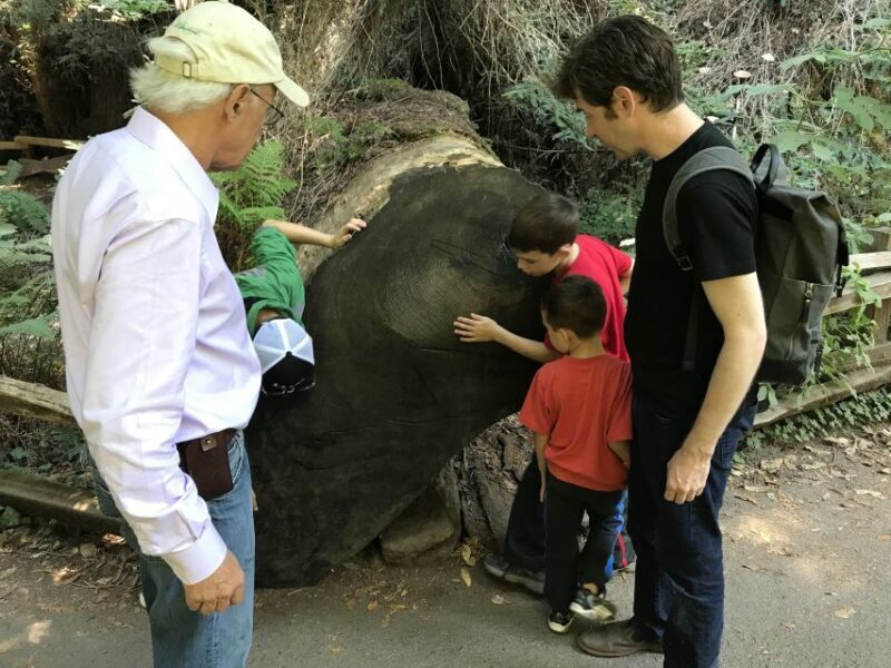 San Francisco: Private Muir Woods and Sausalito Tour - Final Thoughts