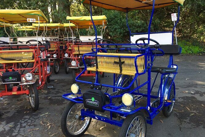 San Francisco: Scenic Surrey Ride Through Golden Gate Park - Key Points