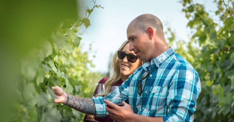San Francisco: Sonoma Wine Country Tour with Tastings - The Itinerary Breakdown: What You Can Expect