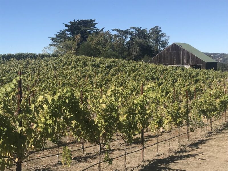San Francisco: Sonoma Wine Country Tour with Tastings - Scenic Stops and Photo Opportunities