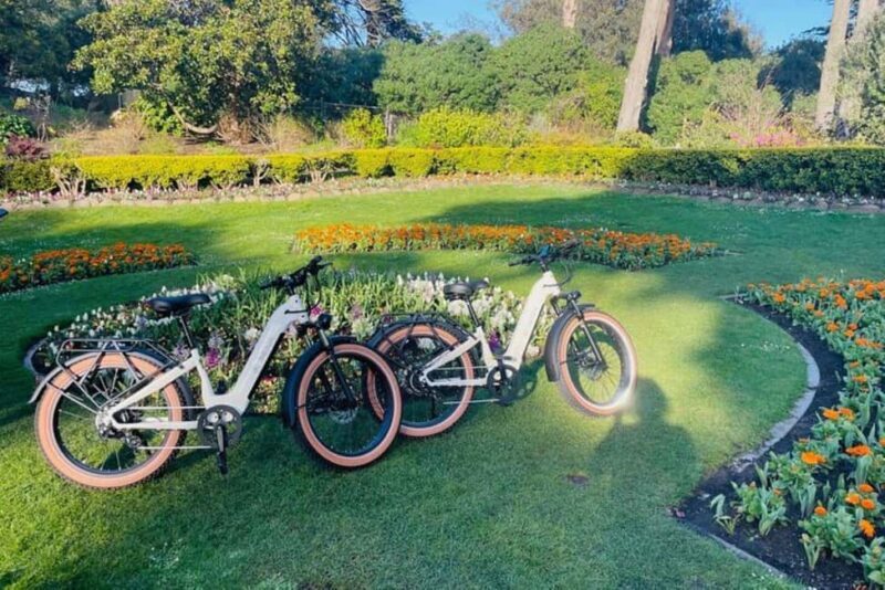 San Francisco: Summer of Love Guided eBike Tour - Key Points