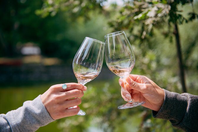 San Francisco Super Saver: Muir Woods & Wine Country w/ optional Gourmet Lunch - Analyzing the Value and Experience