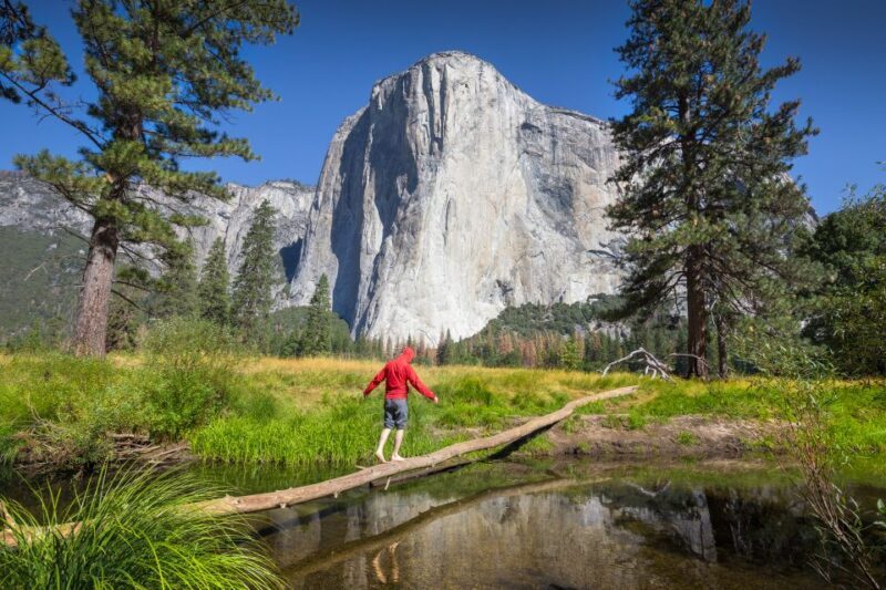 San Francisco to/from Yosemite National Park: 1-Way Transfer - Key Points