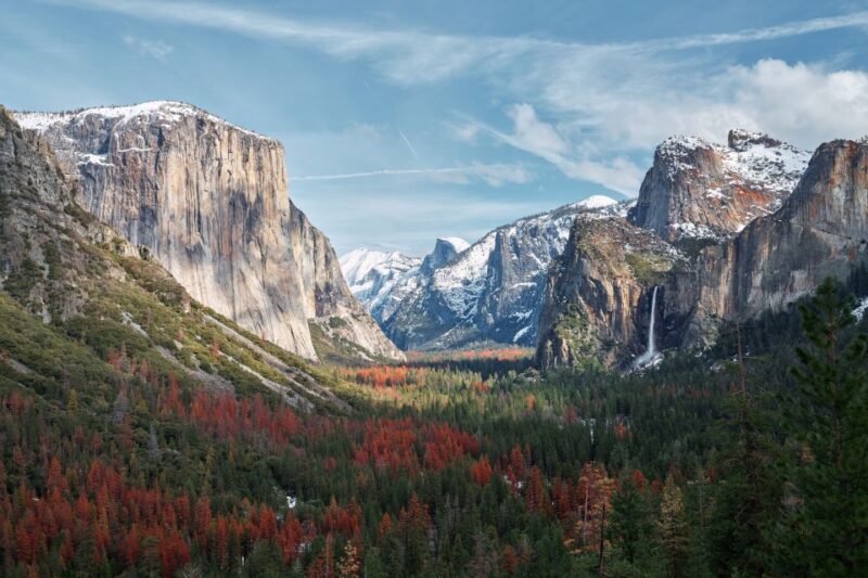 San Francisco to/from Yosemite National Park: 1-Way Transfer - The Sum Up