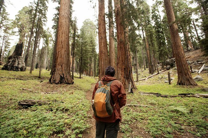 San Francisco to Los Angeles: California Parks Highlights Tour - An In-Depth Look at the California Parks Highlights Tour