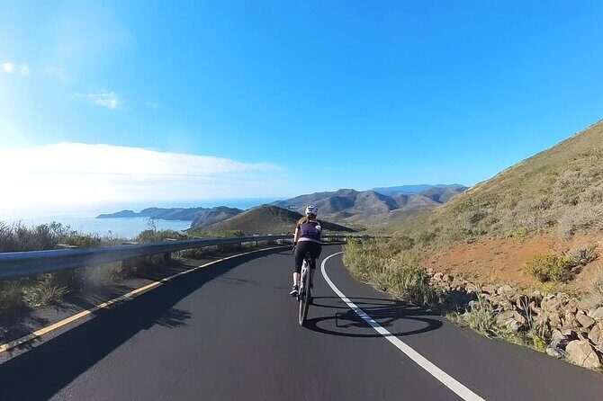 San Francisco to Muir Woods Cycling Tour - An In-Depth Look at the Tour Experience
